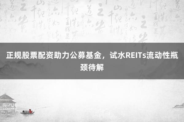 正规股票配资助力公募基金，试水REITs流动性瓶颈待解