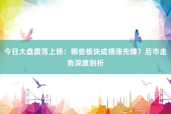 今日大盘震荡上扬：哪些板块成领涨先锋？后市走势深度剖析