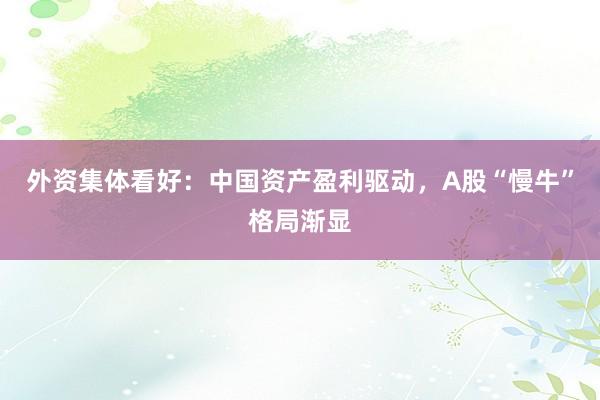 外资集体看好：中国资产盈利驱动，A股“慢牛”格局渐显